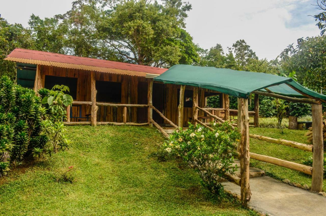 Batsu Ecolodge & Coffee Farm Сан-Рамон Екстер'єр фото