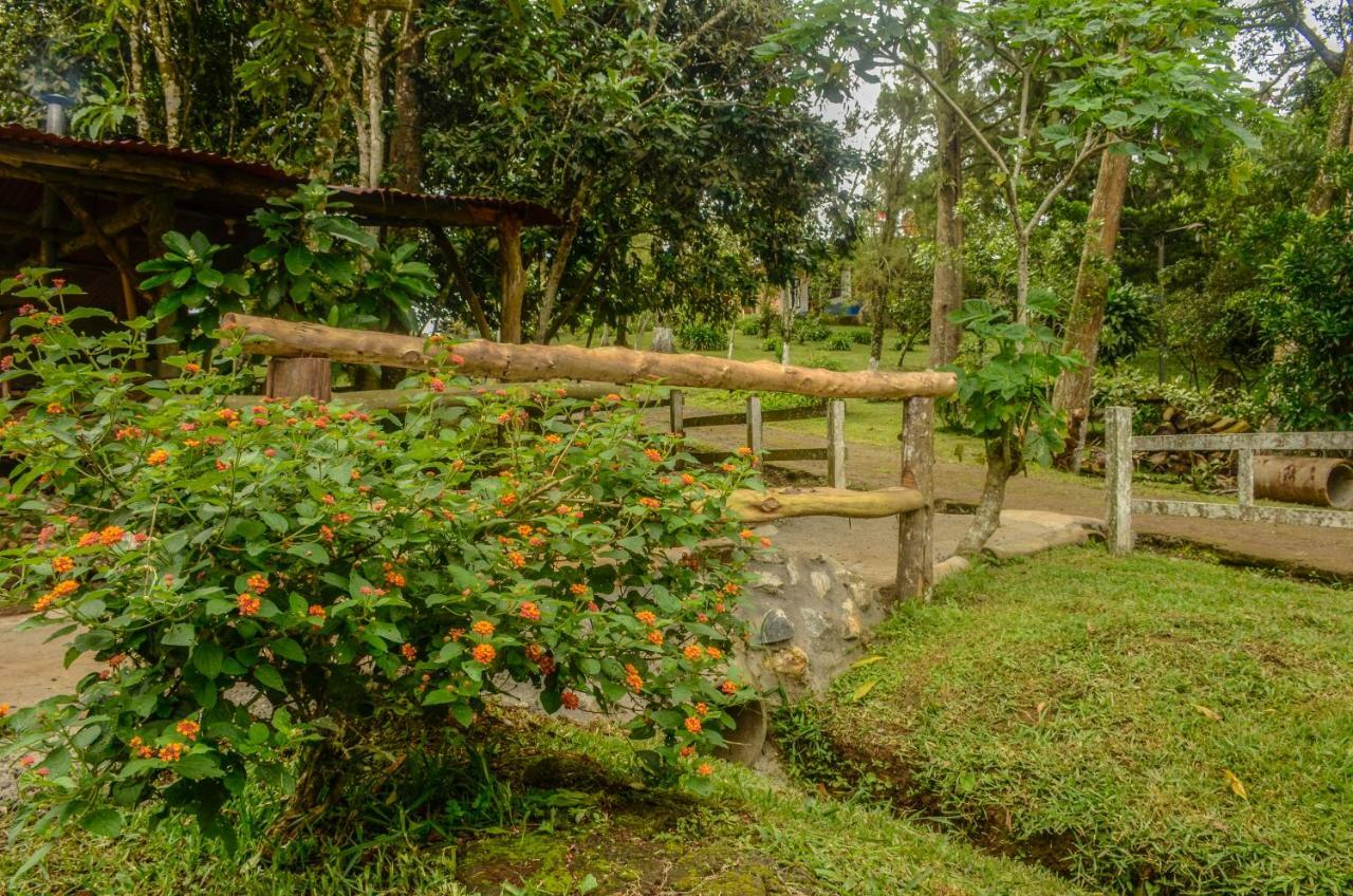 Batsu Ecolodge & Coffee Farm Сан-Рамон Екстер'єр фото